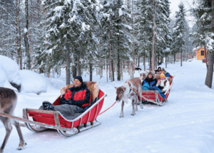 Aventuras en trineo: Deslízate sobre la nieve y descubre los secretos de Laponia con tus hijos