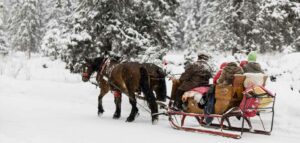 Paseo en trineo de renos: Déjate llevar por la nieve y el encanto de Laponia junto a tus niños