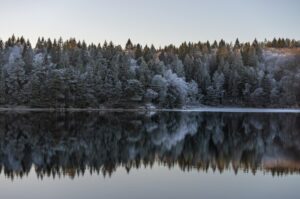 Descubre la maravilla natural de Laponia