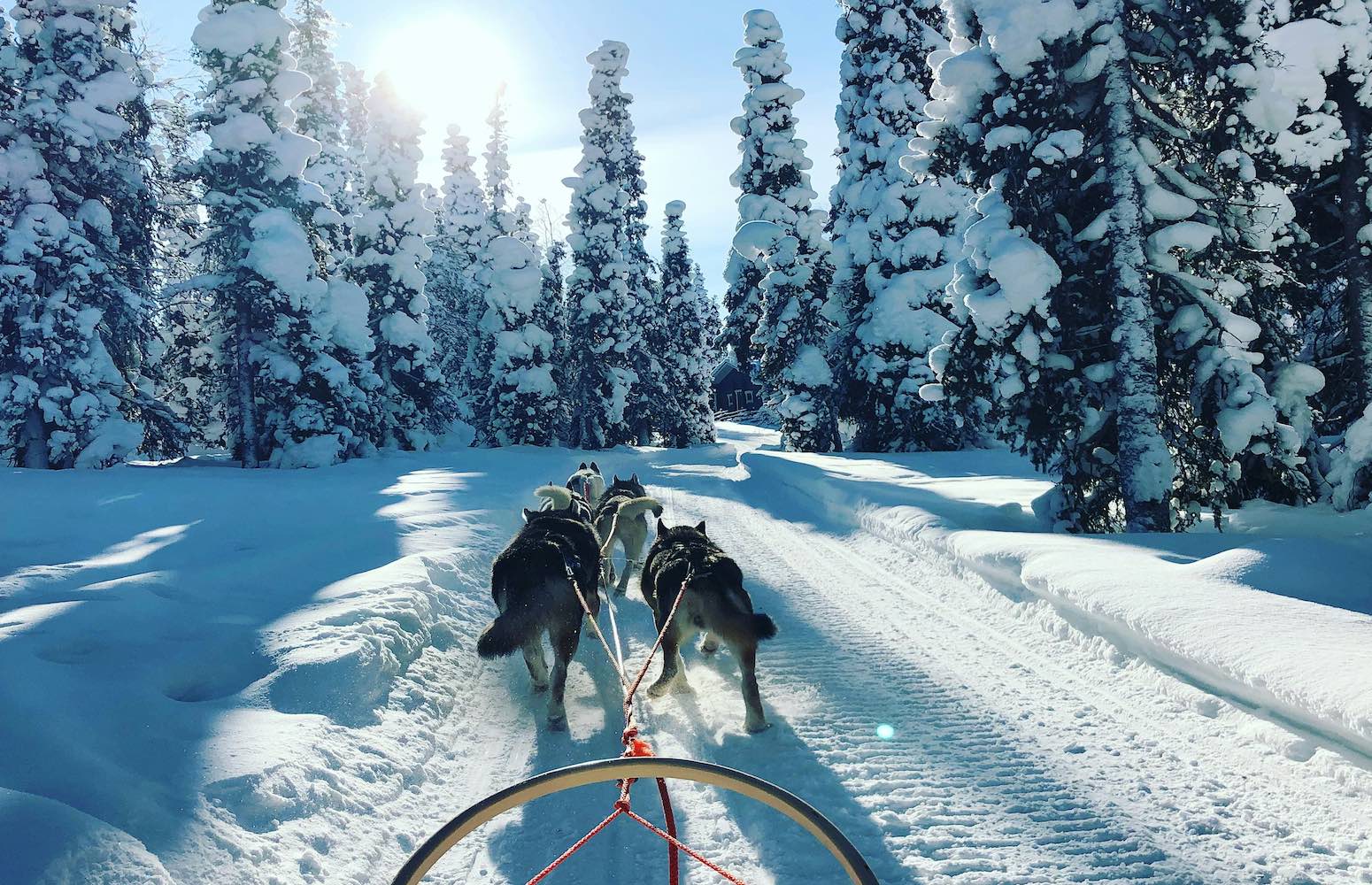 Laponia Finlandia Viaja a Laponia